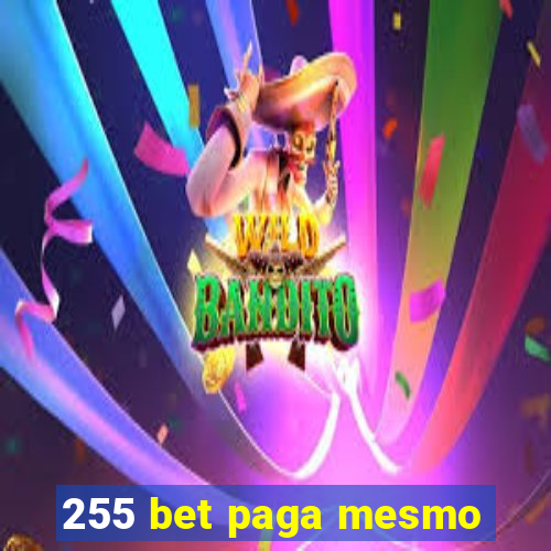 255 bet paga mesmo